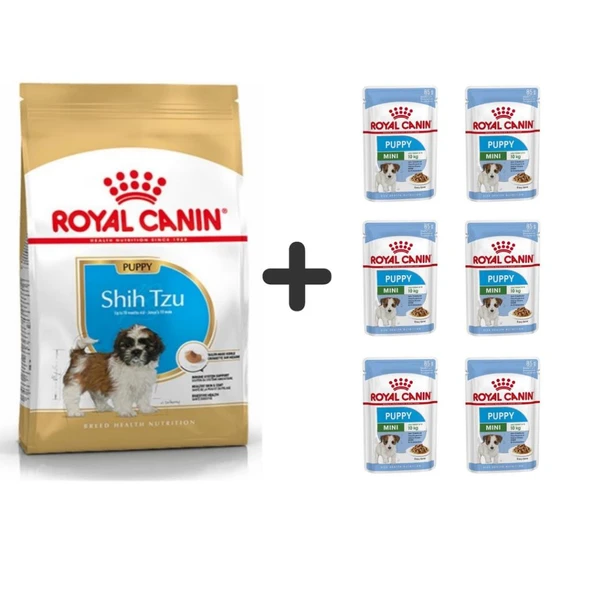 Royal Canin Shih Tzu Puppy Yavru Köpek Maması 1.5 Kg + 6 Adet Yaş Mama ürün görseli 1