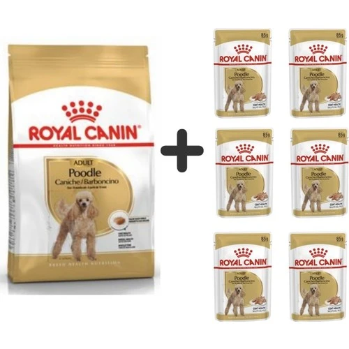 Royal Canin Poodle Adult Köpek Maması 3 Kg + 6 Adet Yaş Mama ürün görseli 1