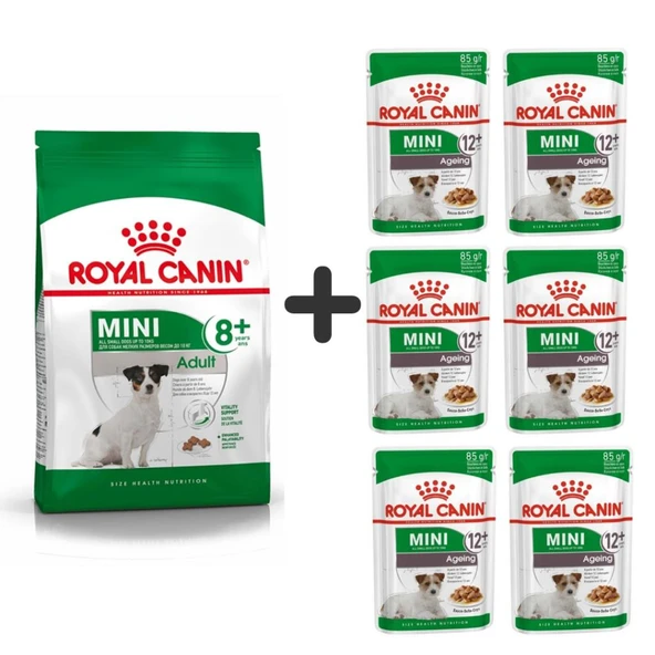 Royal Canin Mini Adult +8 Yaş Yaşlı Köpek Maması 2 kg + 6 Adet Yaş Mama ürün görseli 1