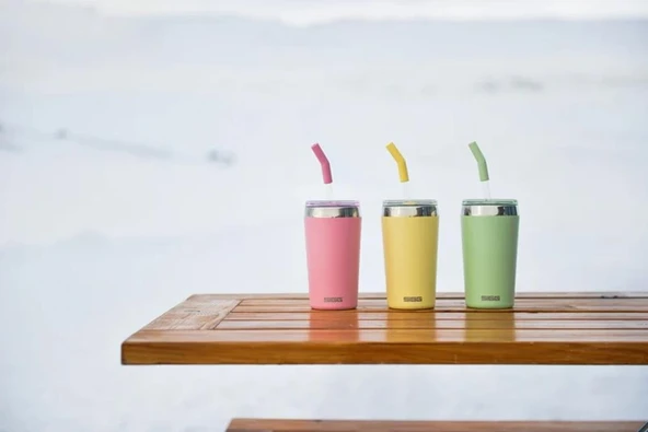 Sigg 6015 Helia 0,45 LT Çelik Termos - Resim 3