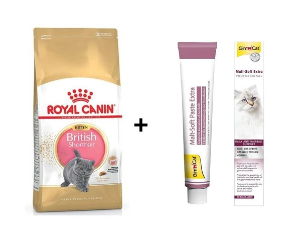 Royal Canin Kitten British Shorthair Yavru Kedi Maması 2 kg + Gimcat Malt 100 Gr ürün görseli 1