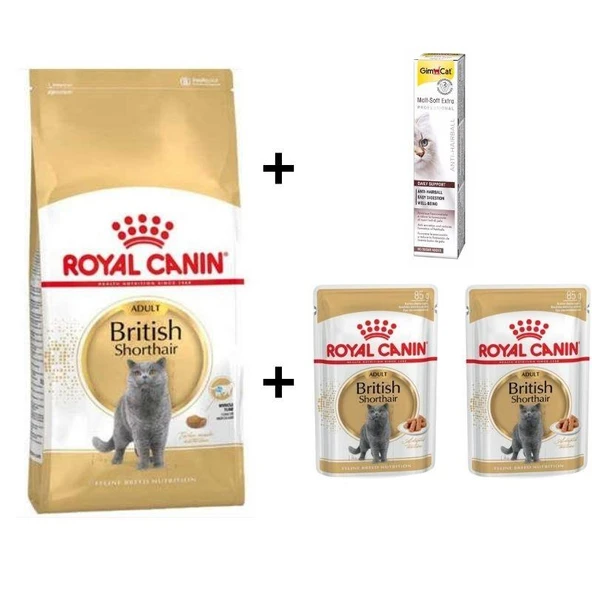 Royal Canin British Shorthair Yetişkin Kedi Maması 2 kg+2 Adet RC Yaş Mama 85 Gr + 20 gr GimCat Malt ürün görseli 1