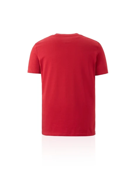 Galatasaray Orijinal Lisanslı Arma T-Shirt - Resim 5