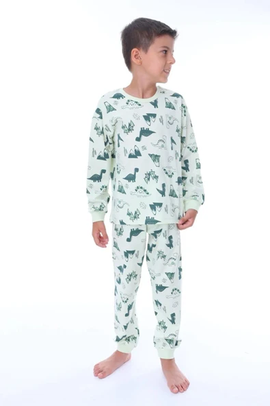 Erkek Çocuk Dinazor Desenli Uzun Kollu Pijama Takımı ürün görseli 1