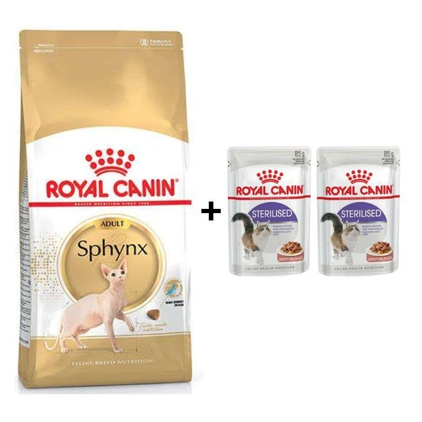 Royal Canin Sphynx Yetişkin Kedi Maması 2 kg + 2 Adet Yaş Mama Hediye ürün görseli 1