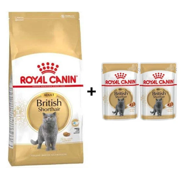 Royal Canin British Shorthair Yetişkin Kedi Maması 2 kg + 2 Adet Yaş Mama Hediye ürün görseli 1