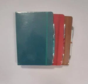 LIZ DEFTER 14x20 THERMO KALEMLI 96YP. KAR. TH22K ürün görseli 1