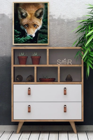 FUHO Beggu 2 Çekmeceli Şifonyer Safir Meşe-Beyaz ürün görseli 1