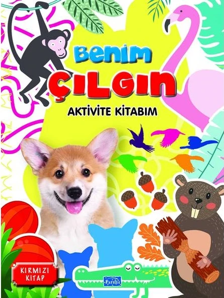 Benim Çılgın Aktivite Seti (4 Kitap) - Resim 4