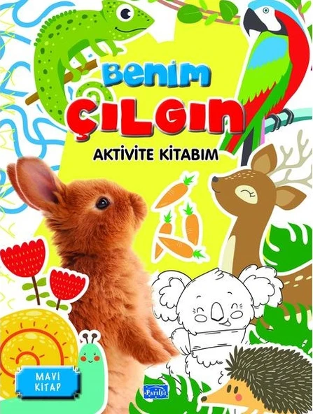 Benim Çılgın Aktivite Seti (4 Kitap) - Resim 2