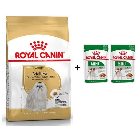 Royal Canin Maltese Bichon Yetişkin Köpek Maması 1,5 kg + 2 Adet Yaş Mama Hediye ürün görseli 1