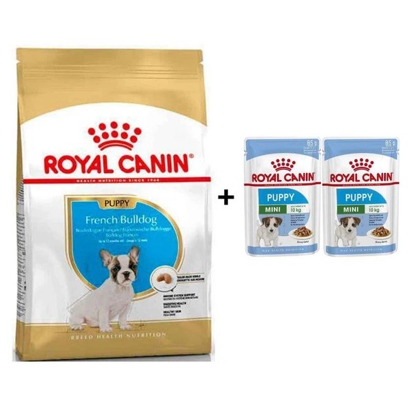 Royal Canin French Bulldog Yavru Köpek Maması 3 kg + 2 Adet Yaş Mama Hediye ürün görseli 1