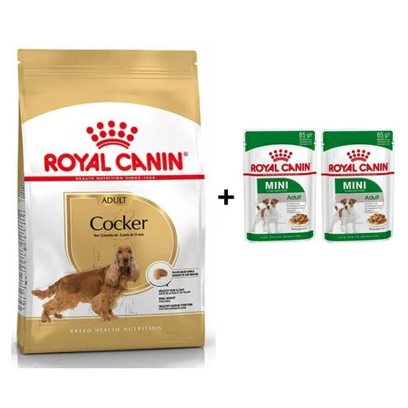 Royal Canin Cocker Yetişkin Köpek Maması 3 kg + 2 Adet Yaş Mama Hediye ürün görseli 1