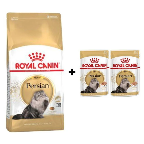 Royal Canin Persian Yetişkin Kedi Maması 2 kg + 2 Adet Yaş Mama Hediye ürün görseli 1