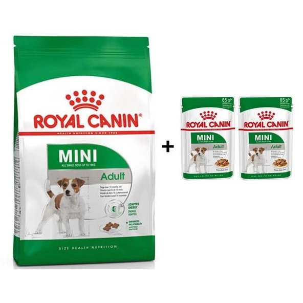 Royal Canin Mini Adult Köpek Maması 2 kg + 2 Adet Yaş Mama Hediye ürün görseli 1