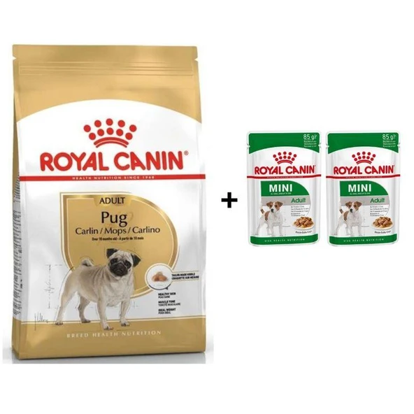 Royal Canin Pug  Irkı Özel Köpek Maması 1,5 kg + 2 Adet Yaş Mama Hediye ürün görseli 1