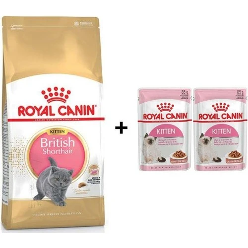 Royal Canin Kitten British Shorthair Yavru Kedi Maması 2 kg + 2 Adet Yaş Mama Hediye ürün görseli 1