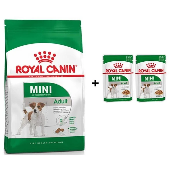 Royal Canin Mini Adult Köpek Maması 4 kg + 2 Adet Yaş Mama Hediye ürün görseli 1