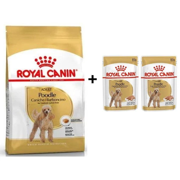 Royal Canin Poodle Adult Köpek Maması 3 Kg + 2 Adet Yaş Mama Hediye ürün görseli 1
