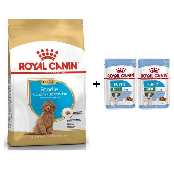 Royal Canin Poodle Puppy Köpek Maması 3 Kg + 2 Adet Yaş Mama Hediye ürün görseli 1
