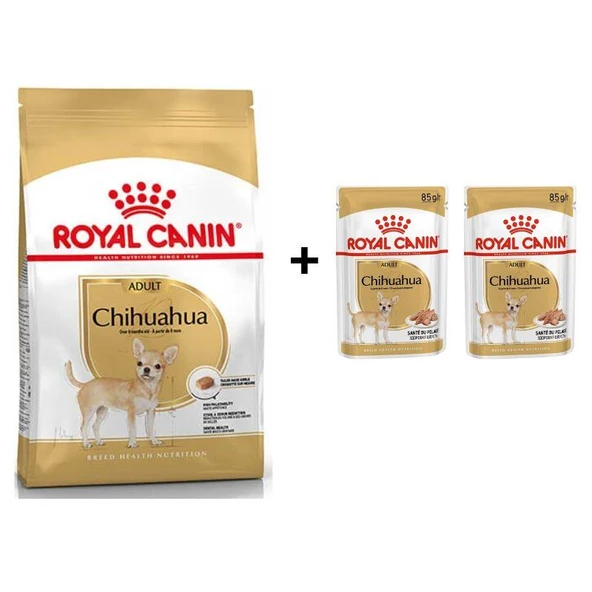 Royal Canin Chihuahua Yetişkin Köpek Maması 1,5 kg + 2 Adet Yaş Mama Hediye ürün görseli 1