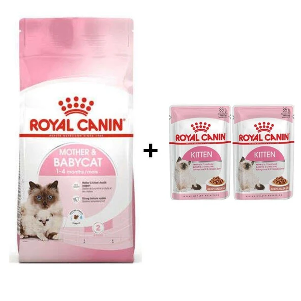 Royal Canin Mother BabyCat  Yavru Kuru Kedi Maması 2 Kg + 2 Adet Yaş Mama Hediye ürün görseli 1