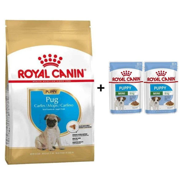 Royal Canin Pug Junior Yavru Köpek Maması 1,5 kg + 2 Adet Yaş Mama Hediye ürün görseli 1