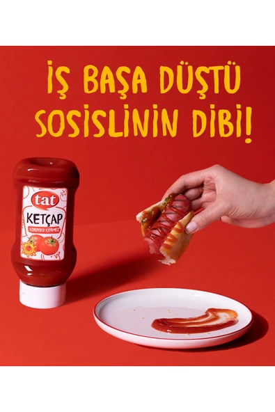 Tat Domates Salçası 4300 gr - Resim 4