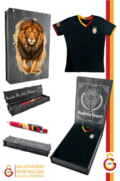 Galatasaray Orijinal Lisanslı Siyah Basic Çocuk T-shirt + Uçlu Kalem Set Hediyelik Ahşap Kutulu ürün görseli 1