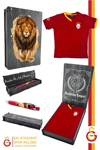Galatasaray Orijinal Lisanslı Kırmızı Basic Çocuk T-shirt + Uçlu Kalem Set Hediyelik Ahşap Kutulu ürün görseli 1