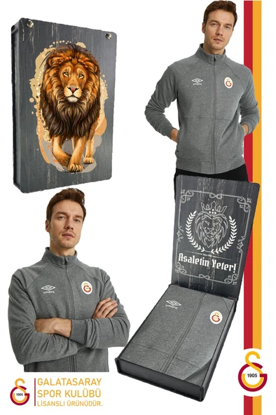 Galatasaray Orijinal Lisanslı Dik Yaka Fermuarlı Gri Sweat Gs Aslan Baskılı Hediyelik Ahşap Kutulu ürün görseli 1