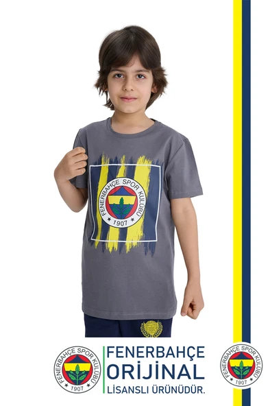 Fenerbahçe Orijinal Renkli Logo Polo Yaka Çocuk T-Shirt ürün görseli 1
