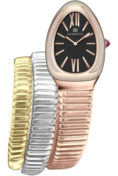 Momentus Ss256r-06sz Kadın Kol Saati ürün görseli 1