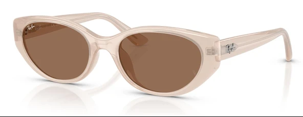 Ray-Ban RB4457D 678673 55 Unisex Güneş Gözlüğü ürün görseli 1