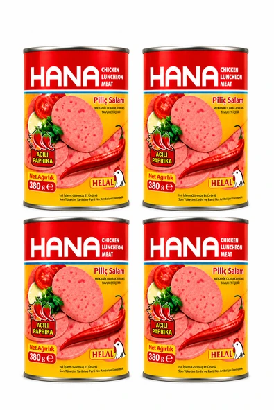 HANA ACILI PİLİÇ SALAM 380 X4 ADET ürün görseli 1