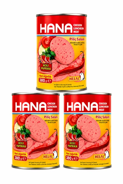 HANA ACILI PİLİÇ SALAM 380 GR X3 ADET ürün görseli 1