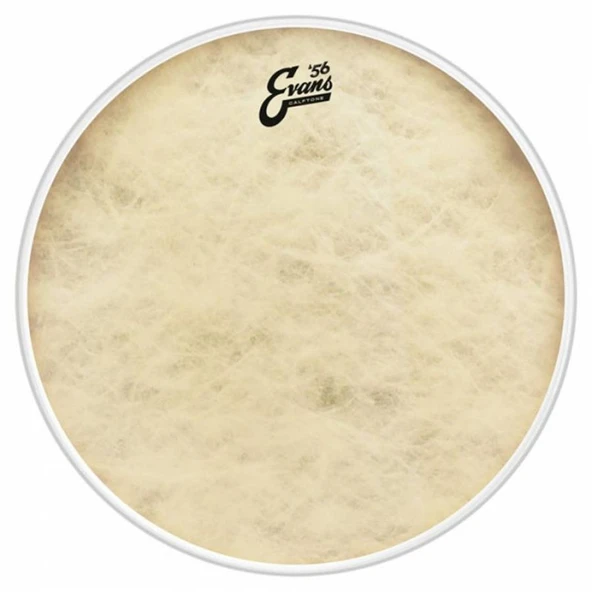 Evans Bd22ct 22" Calftone Kick Derisi ürün görseli 1