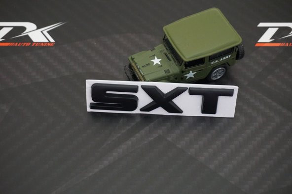 Dodge SXT Bagaj 3M 3D Krom ABS Logo Amblem - Resim 3