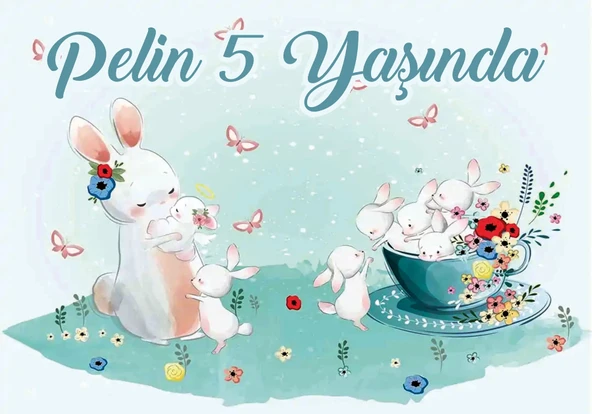 Tavşan Temalı Doğum Günü Afişi 35X50 cm ürün görseli 1