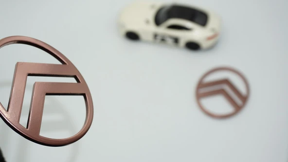 DK Tuning Citroen C3 C4 C5 C6 Bronz ABS Yan Kanatlar Logo Arma Seti ürün görseli 1