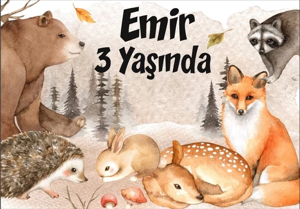 Orman Hayvanları Temalı Doğum Günü Afişi 35X50 cm ürün görseli 1