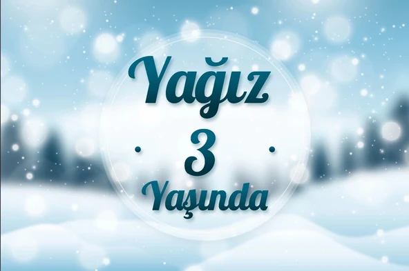 kış temalı doğumgünü afişi 35X50 cm ürün görseli 1