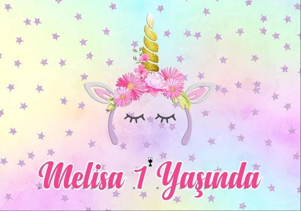 Unicorn Temalı Doğum Günü Afişi 100X150 cm ürün görseli 1