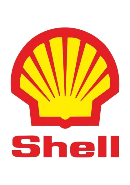 SHELL MORLİNA S2 BL 5 - BİDON 20 LİTRE - ISO VG 5 - Resim 4
