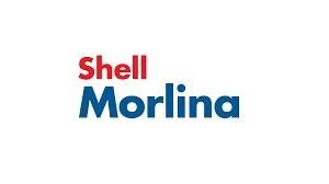 SHELL MORLİNA S2 BL 5 - BİDON 20 LİTRE - ISO VG 5 - Resim 6
