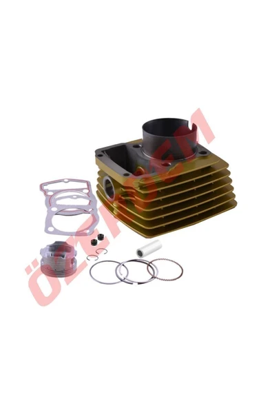 Cg Model Çita Silindir 13 Mm Pim Gold (537750377) ürün görseli 1