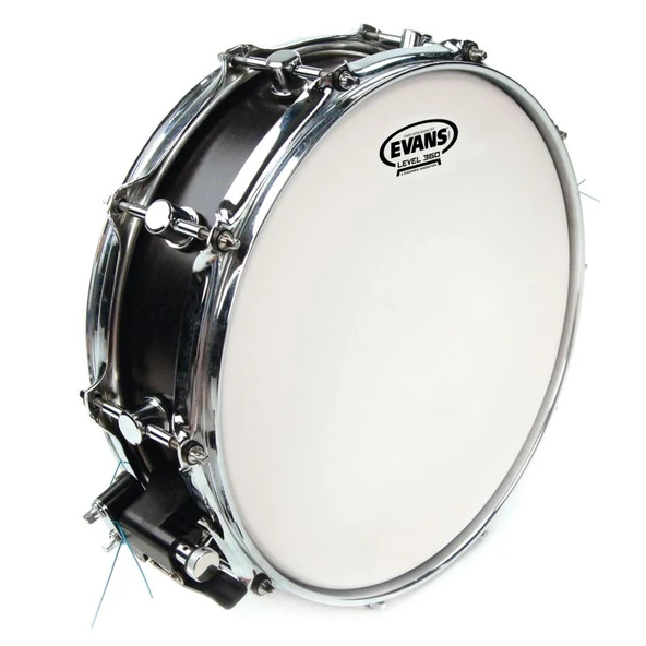 EVANS B12G1RD - Resim 2