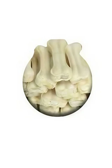 Kemik Miçiko Diş Kaşıyıcı Diş Sağlığı Beyaz 8 Li Paket ( 7.5 Cm) ürün görseli 1
