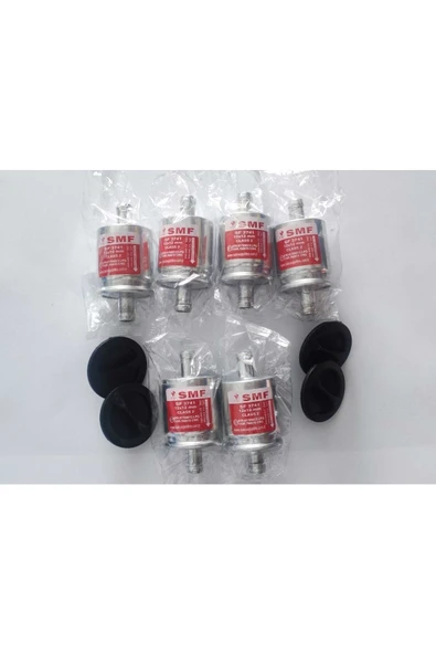 SMF  Lpg Filtresi Atiker Akl Zavoli Vikars Uyumlu 12x12mm 6adet ürün görseli 1