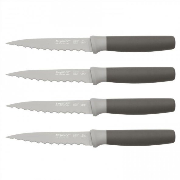 Berghoff Leo 4 Parça Biftek Bıçak Seti 3950046 ürün görseli 1